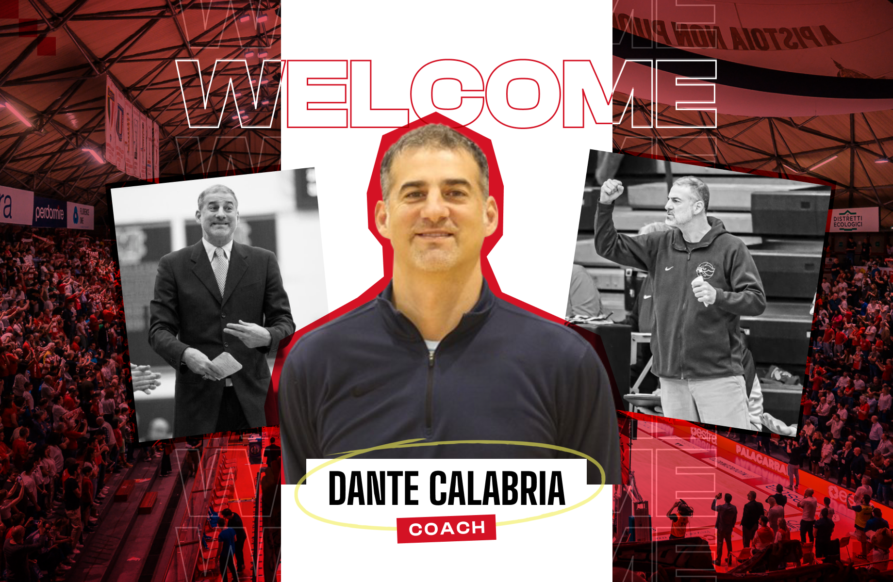 card dante calabria