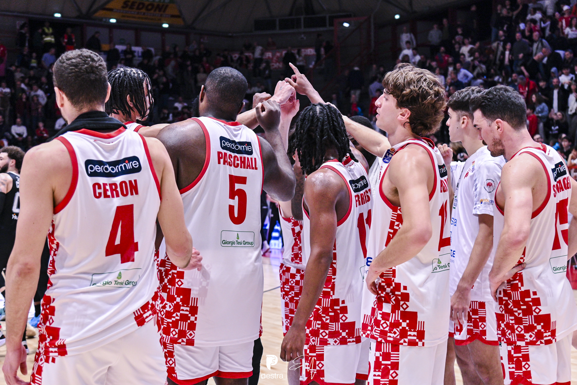 squadra pistoia virtus bologna