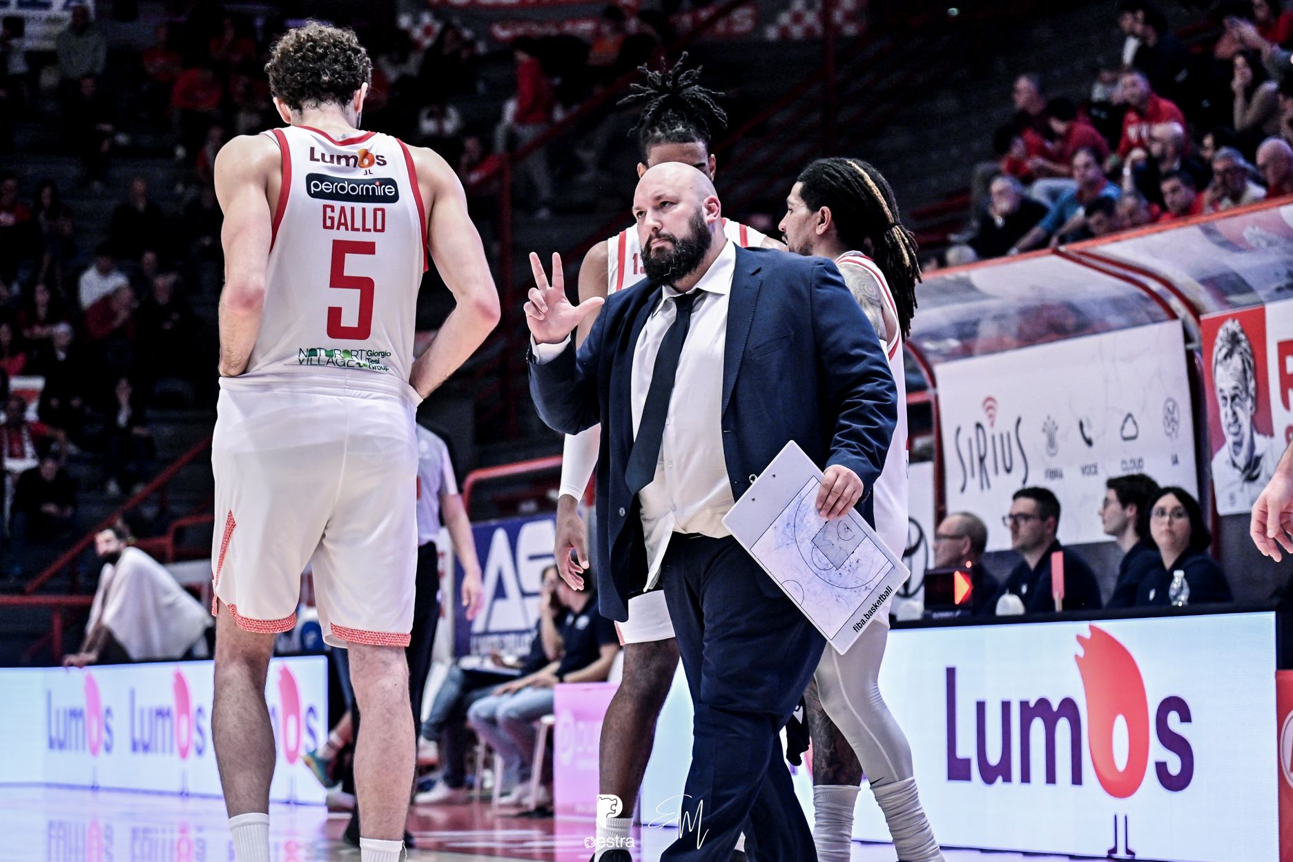 luca civinini con gallo pistoia roseto